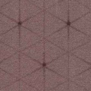 ( Coral-67 ) MS