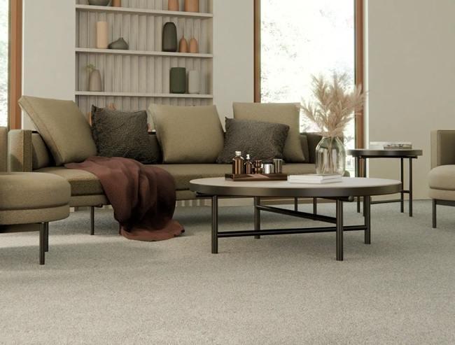 Living Room Carpets