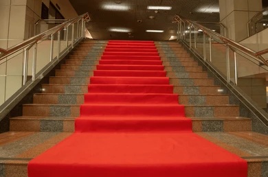 Red Velvet Carpets