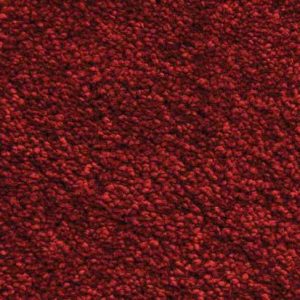 ( Berry 20 ) MS