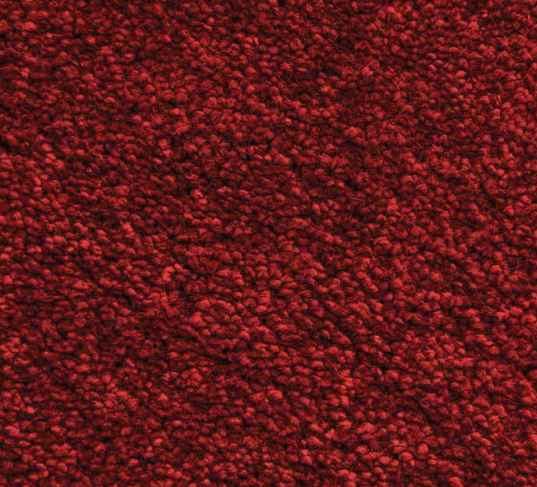 ( Berry 20 ) MS
