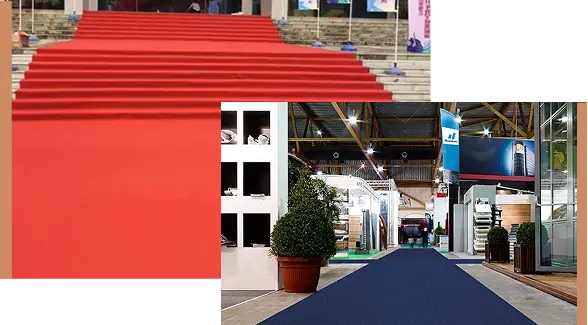 Disposable Pure Color Plain Flat Jacquard Exhibition Carpe