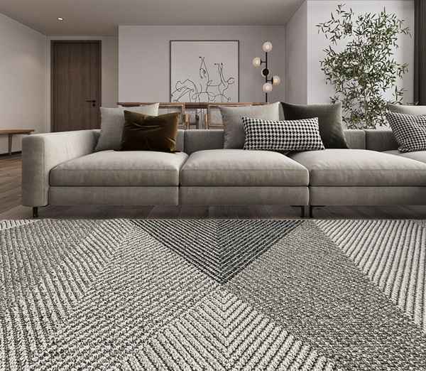 stylish living room carpet